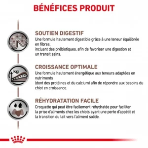 remise en ligne ROYAL CANIN Dog Gastro Intestinal Puppy 17