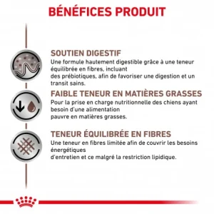 Nouvelle Collection ROYAL CANIN Dog Gastro Intestinal Low Fat Boîte 13