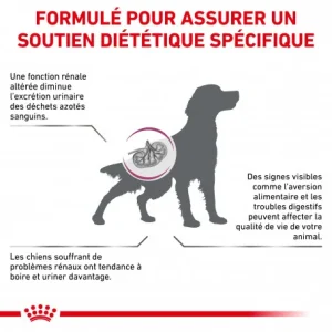 magasin pour ROYAL CANIN Veterinary Health Nutrition Dog Renal 13