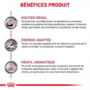 magasin pour ROYAL CANIN Veterinary Health Nutrition Dog Renal 17