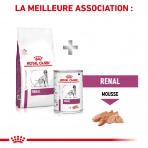 magasin pour ROYAL CANIN Veterinary Health Nutrition Dog Renal 23