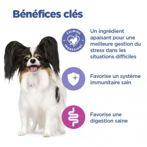 Paiement sécurisé HILL’S Pet Nutrition Vet Essentials Chien Multi-Benefit + Calm Adult 1+ Small & Mini 15