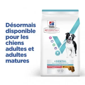 officiel HILL’S Pet Nutrition Vet Essentials Chien Multi-Benefit + Dental Adulte + Medium & Large Poulet 12