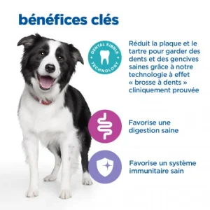 officiel HILL’S Pet Nutrition Vet Essentials Chien Multi-Benefit + Dental Adulte + Medium & Large Poulet 18