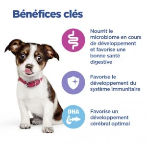 HILL’S Pet Nutrition Vet Essentials Chien Multi-Benefit Puppy Medium Poulet dernière tendance 12