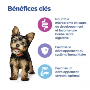 Service Clients Dédié HILL’S Pet Nutrition Vet Essentials Chien Multi-Benefit Puppy Small & Mini Poulet 13