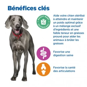 HILL’S Pet Nutrition Vet Essentials Chien Multi-Benefit + Weight Adult + Large Breed Poulet de garantie authentique 15