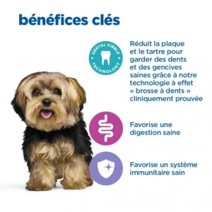 HILL’S Pet Nutrition Vet Essentials Chien Multi-Benefit+Dental Adult 1+ Small & Mini mode pas cher 18