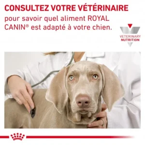 ROYAL CANIN Veterinary Health Nutrition Dog Cardiac Paiement sécurisé 24