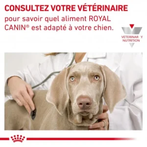 ROYAL CANIN Veterinary Health Nutrition Dog Cardiac Boîte garantie de qualité 19