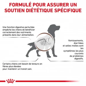 ROYAL CANIN Dog Gastro Intestinal High Fibre design à la mode 12