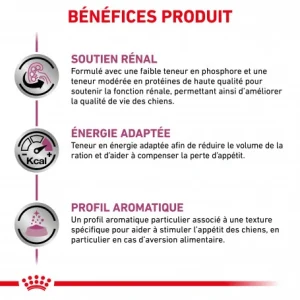 offre spéciale ROYAL CANIN Veterinary Health Nutrition Dog Renal Boîte 11