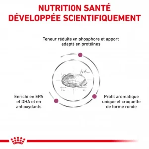 Meilleur Prix ROYAL CANIN Veterinary Health Nutrition Dog Renal Special 15