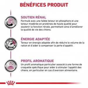 Meilleur Prix ROYAL CANIN Veterinary Health Nutrition Dog Renal Special 17