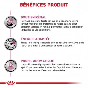 ROYAL CANIN Veterinary Health Nutrition Dog Renal Special Boîte luxe soldes 13