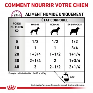 ROYAL CANIN Veterinary Health Nutrition Dog Renal Special Boîte luxe soldes 15