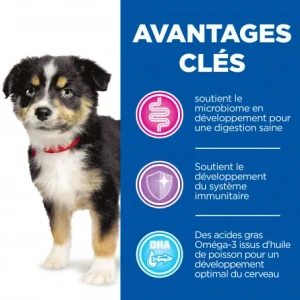 Pas Cher Magasin Soldes HILL’S Pet Nutrition Vet Essentials Puppy Growth ActivBiome+ Large Breed Poulet 13